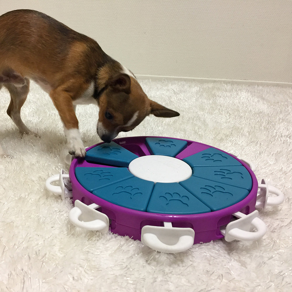 Nina Ottosson Dog Twister - Level 3