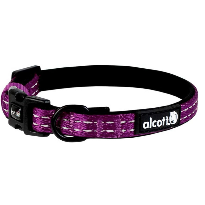 Alcott Adventure Reflective Dog Collar - Purple