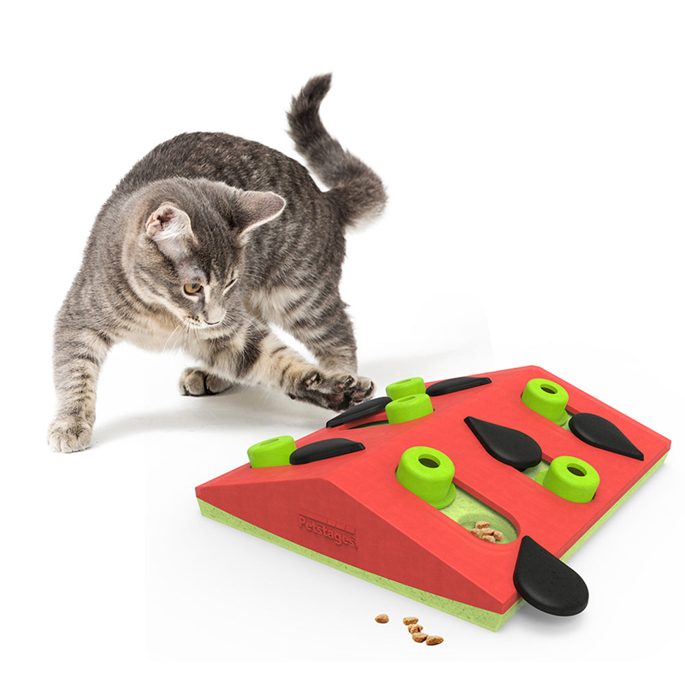 Nina Ottosson Cat Melon Madness Puzzle & Play - Level 2