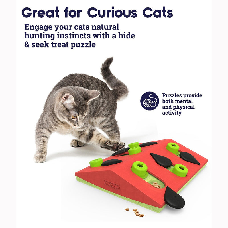 Nina Ottosson Cat Melon Madness Puzzle & Play - Level 2