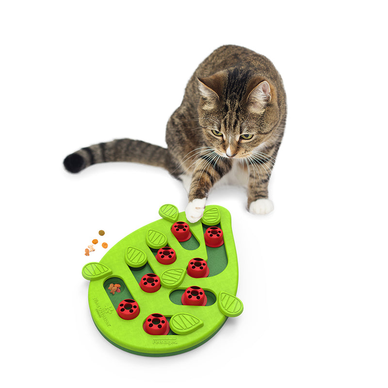 Petstages Nina Ottosson Rainy Day Puzzle & Play - Interactive Cat Treat  Puzzle & Catit Senses 2.0 Digger Interactive Cat Toy