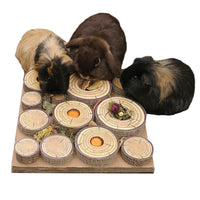 A rabbit and two guinea pigs foraging on the Rosewood Maze-A-Log treat challenge board