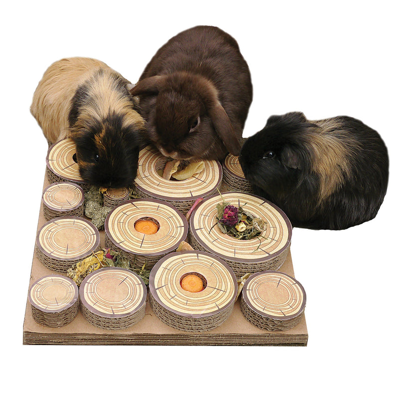 Rosewood Small Animal Activity Toys Maze-A-Log Treat Challenge