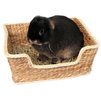 Rosewood Chill n Snooze woven bed with a black rabbit resting inside it