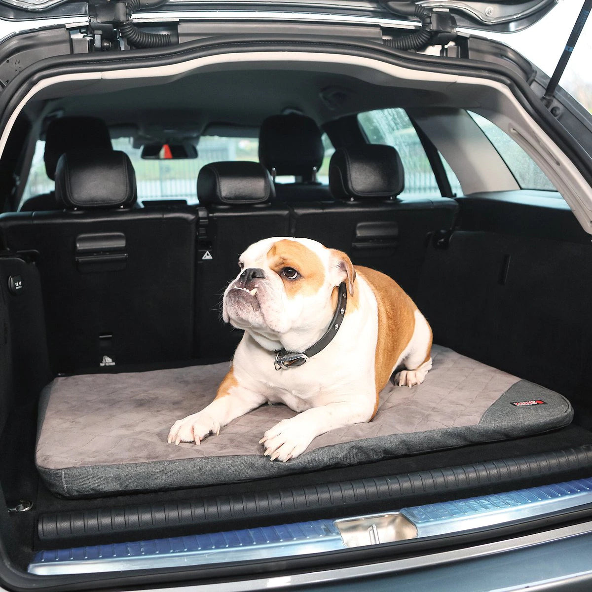 KONG Fold Up Travel Mat 02