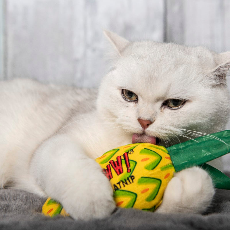 Yeowww Catnip Cat Toys Pineapple PeekAPaw