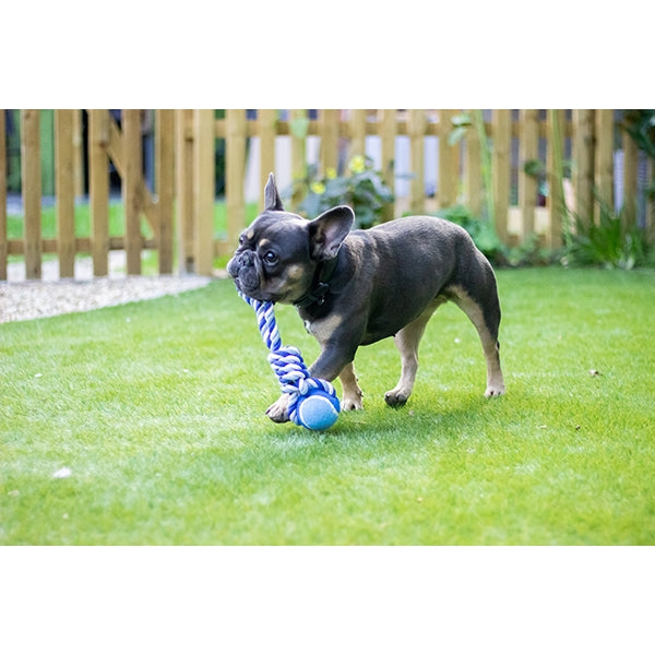 Rosewood Dog Toys 3'' Tennis Ball Tug Assorted 03