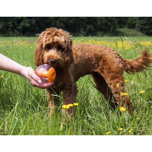 Rosewood Dog Toys Giggling Sound Interactive Treat Ball 05