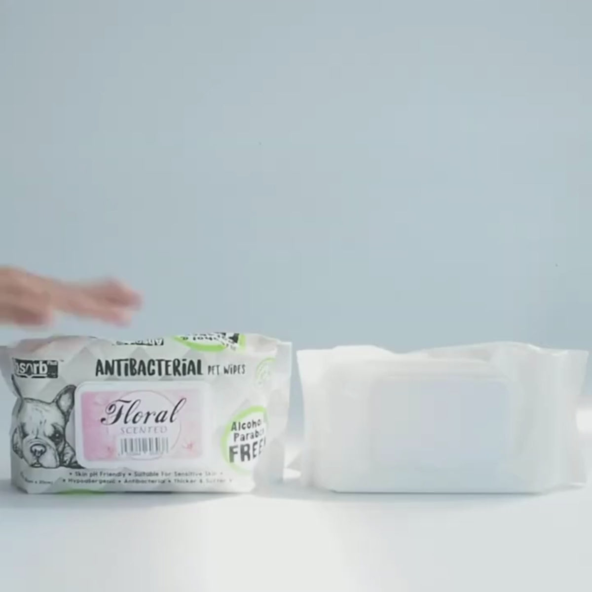 Absorb Plus Antibacterial Pet Wipes 80 Sheets 20 X 15cm 02