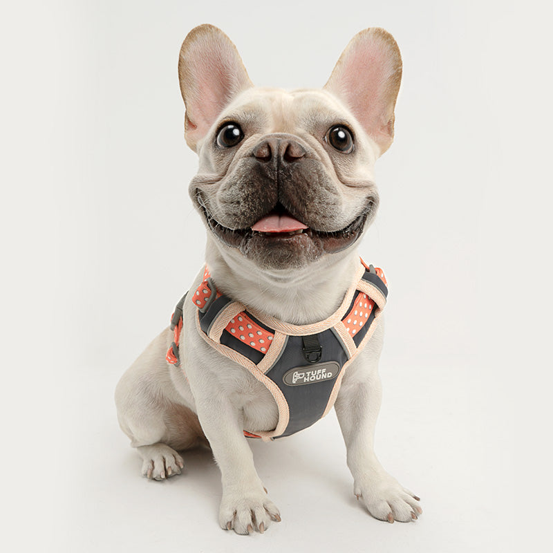 Tuff Hound Dog Harness