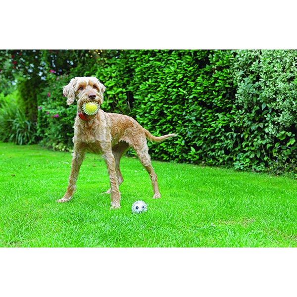 Rosewood Dog Toys Jolly Doggy Catch & Play Tennis Ball 03