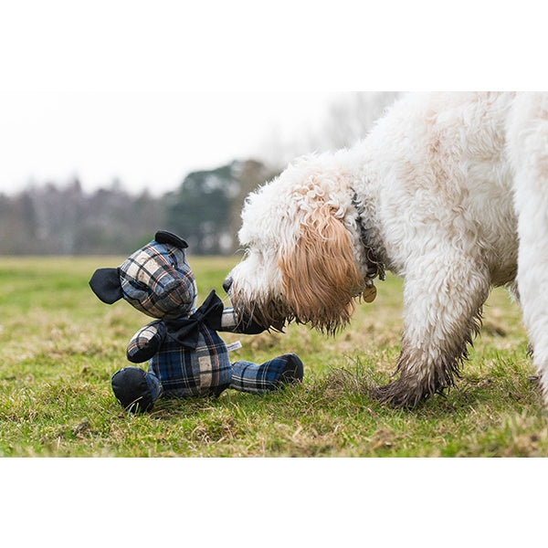 Rosewood Dog Toys Jolly Doggy Blueberry Bear 04