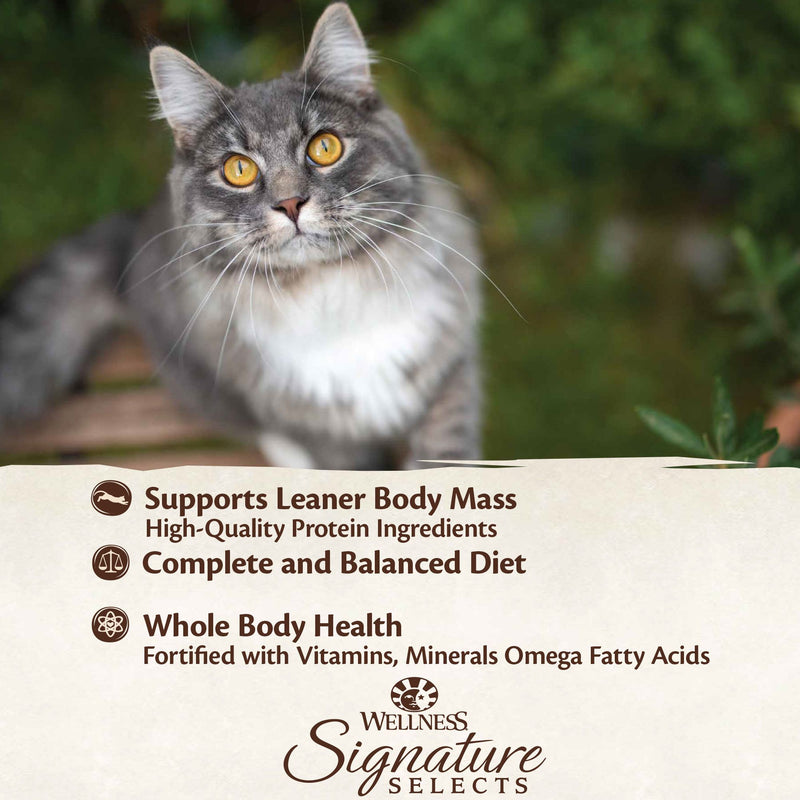 Wellness Core Wet Cat Food Signature Selects Seafood Selection Variety Pack 79g x 8 | PeekAPaw Pet Supplies