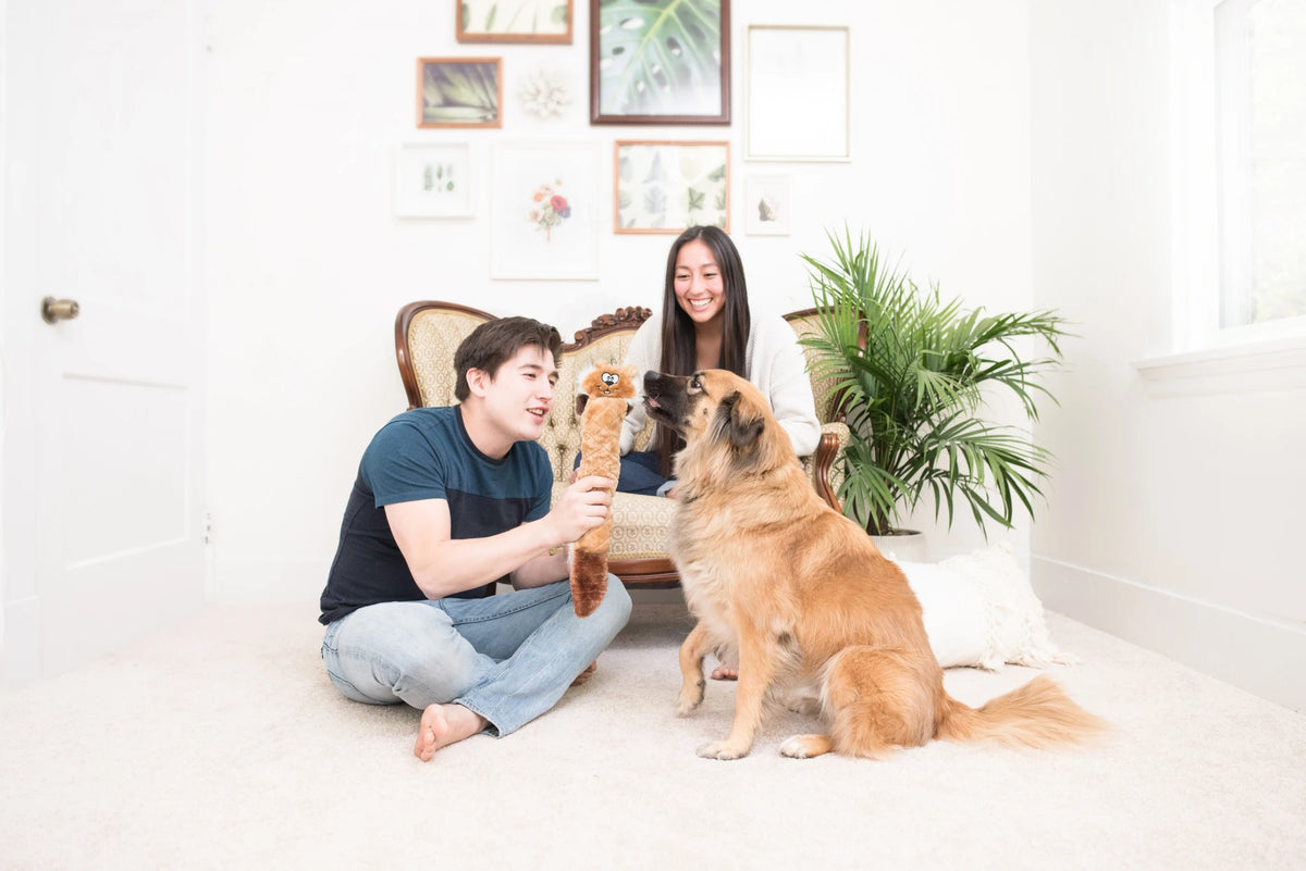 Two people sitting on the floor with a dog, holding a Zippy Paws Jigglerz plush chipmunk toy