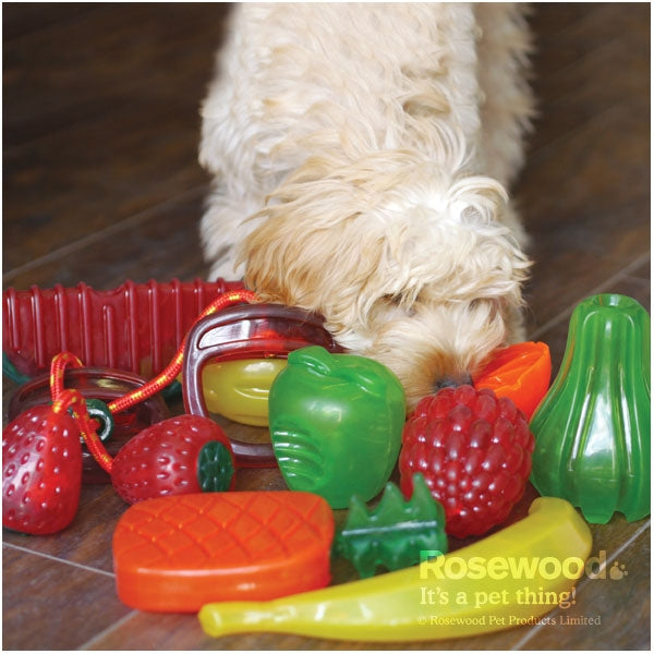 Rosewood Biosafe Dog Toys 01