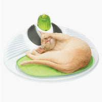 Catit Senses 2.0 Wellness Centre cat groomer, studio product photo