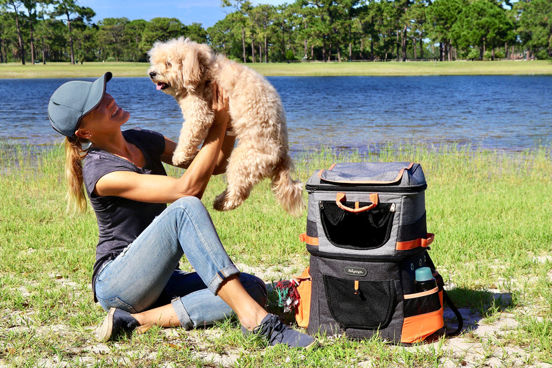 Ibiyaya Double Pet Carrier Backpack Two-Tier-Compartment 22