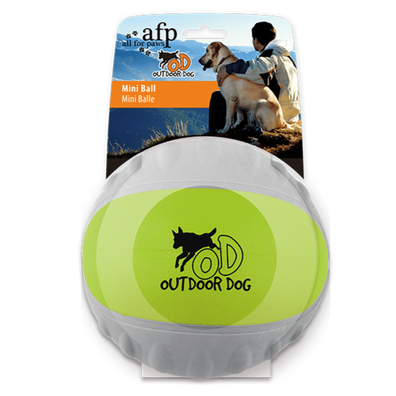 All for Paws AFP Dog Outdoor Durafoam Ball - Green