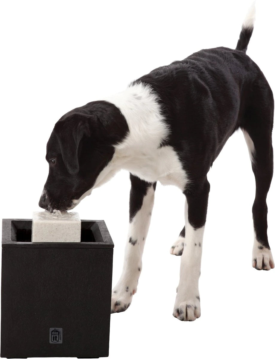 Dogit alfresco drinking fountain hot sale
