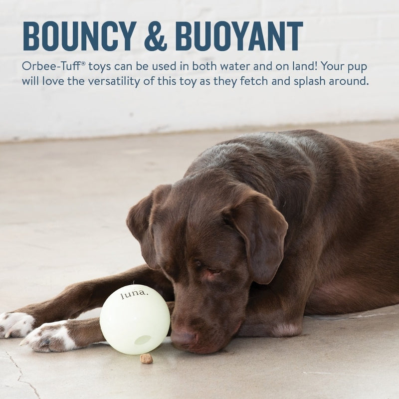 Planet Dog Orbee-Tuff Luna Ball Treat-Dispensing Dog Toy