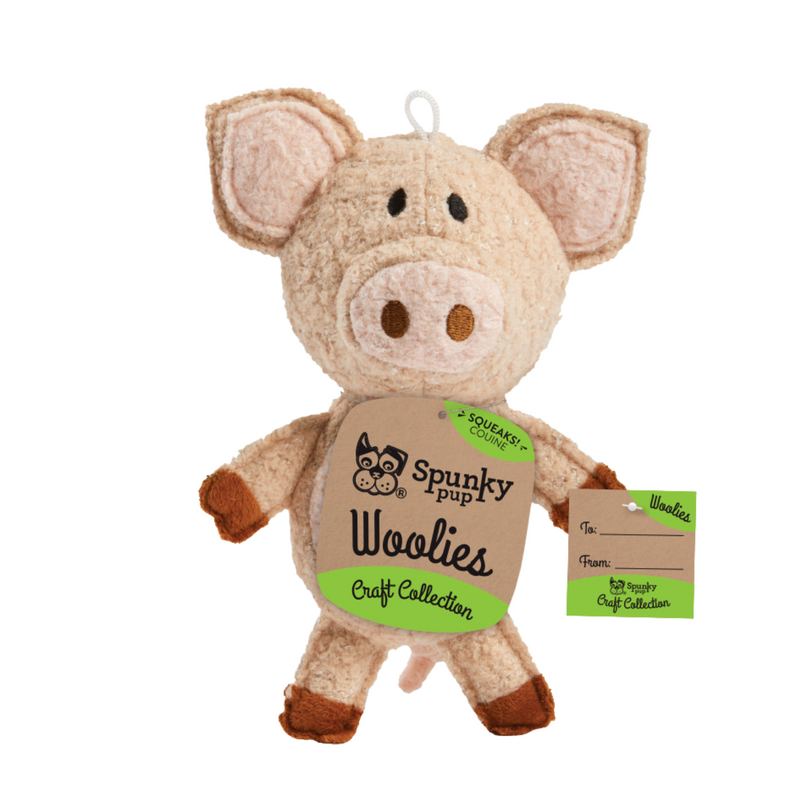 Spunky Pup Dog Toy Mini Woolies Pig