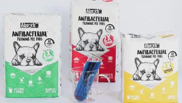 Absorb Plus Antibacterial Training Pee Pads 02