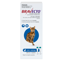 Bravecto Spot-On carton for cats, blue 2.8-6.25 kg band, two-pipette pack