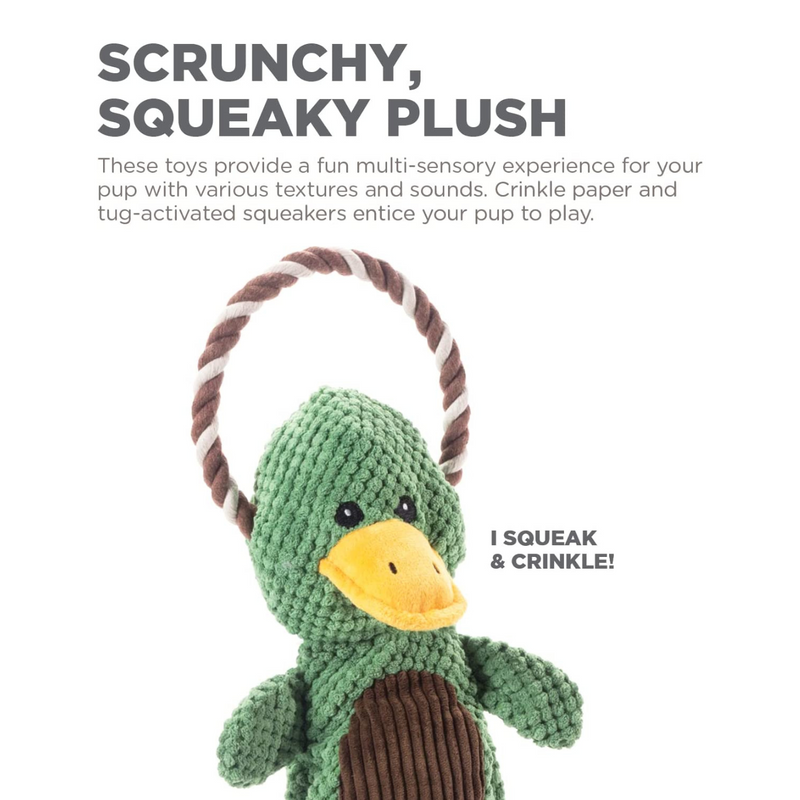 Charming Pet Scrunch Bunch & Squeak Dog Toy 04