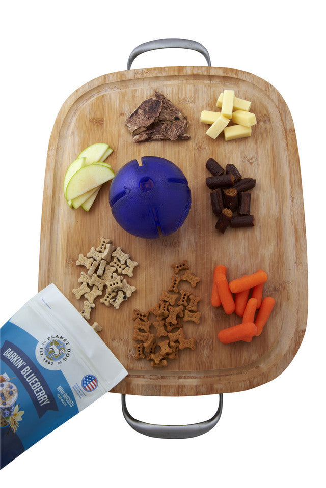 Planet Dog Orbee-Tuff Guru Treat-Dispensing Puzzle Dog Toy