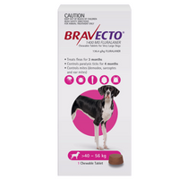Bravecto chewable carton for dogs, 40-56 kg weight band, one-tablet pack