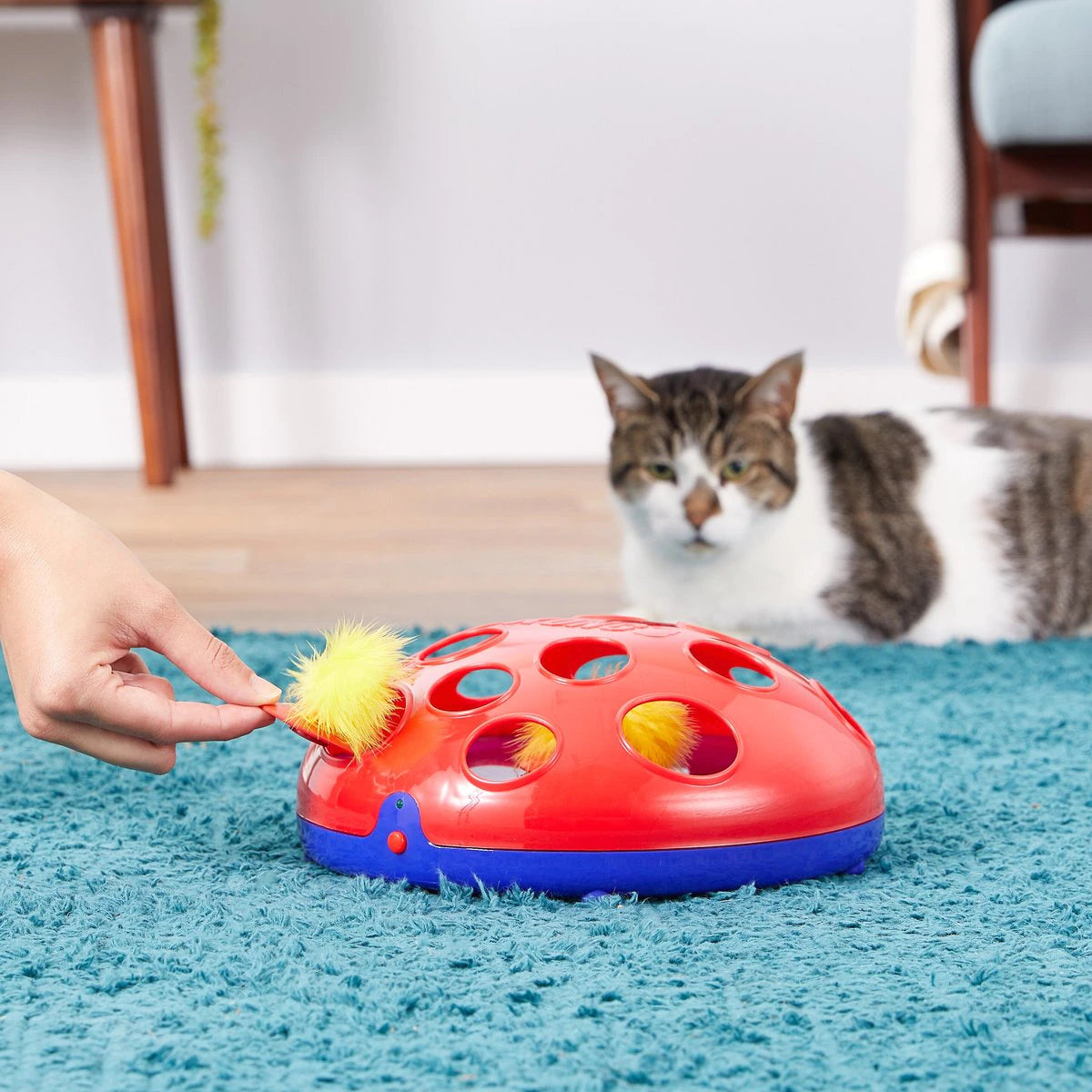 KONG Cat Toys Feather Toy Replacement 04