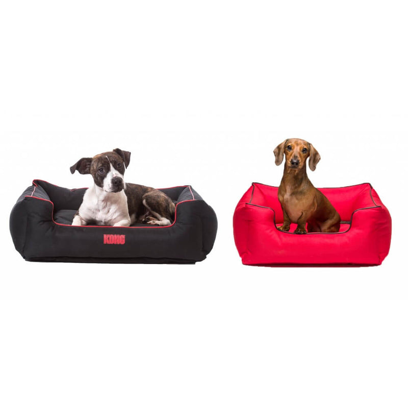 KONG Dog Beds Anywhere Lounger 02