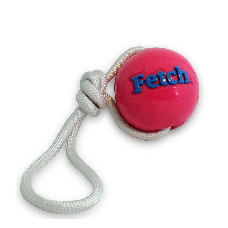 Planet Dog Orbee-Tuff Fetch Ball With Rope Dog Toy