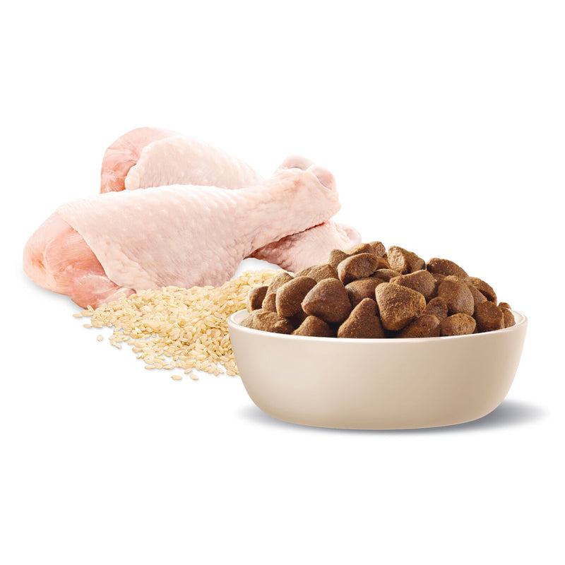 ADVANCE Large Adult Dry Dog Food Chicken with Rice