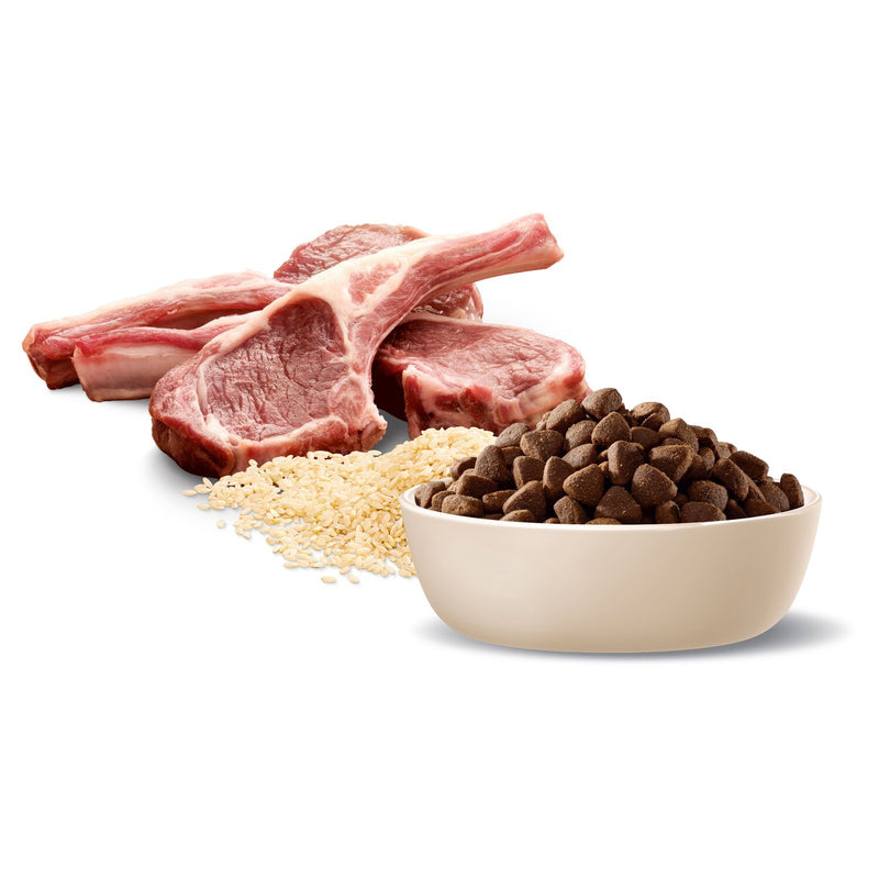 ADVANCE Medium Adult Dry Dog Food Lamb with Rice