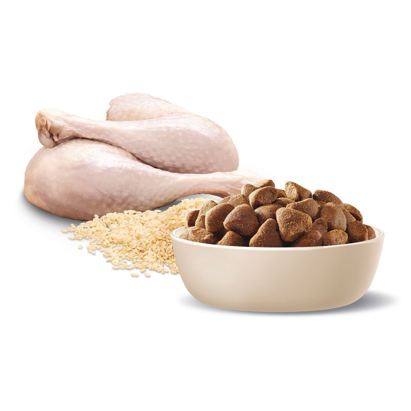 ADVANCE Large Adult Dry Dog Food Turkey with Rice