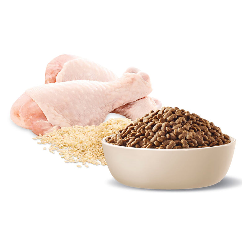 ADVANCE Small Healthy Ageing Dry Dog Food Chicken with Rice