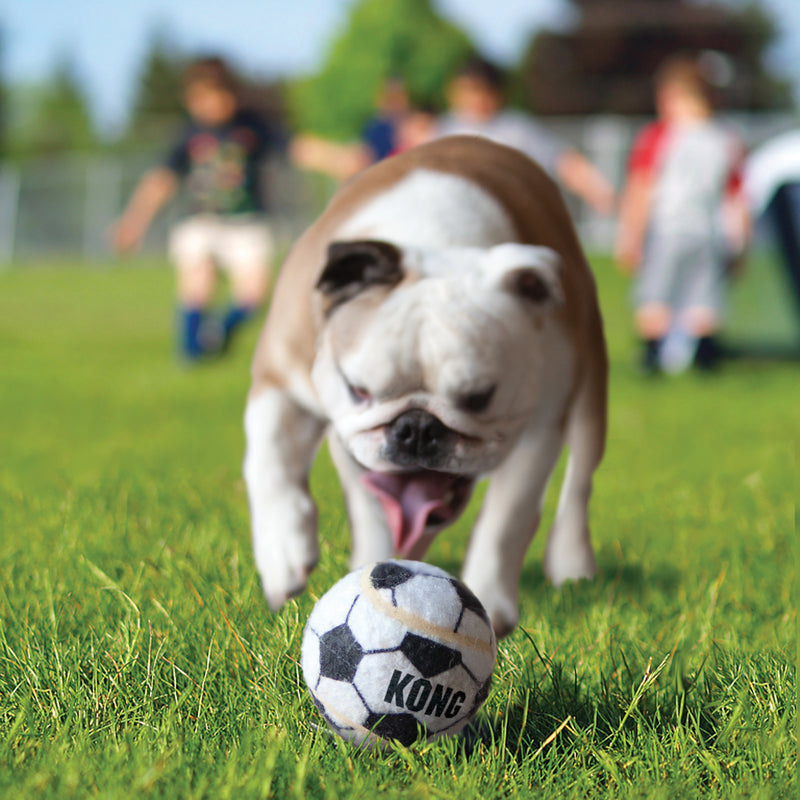 KONG Dog Toys Sport Balls Assorted 09