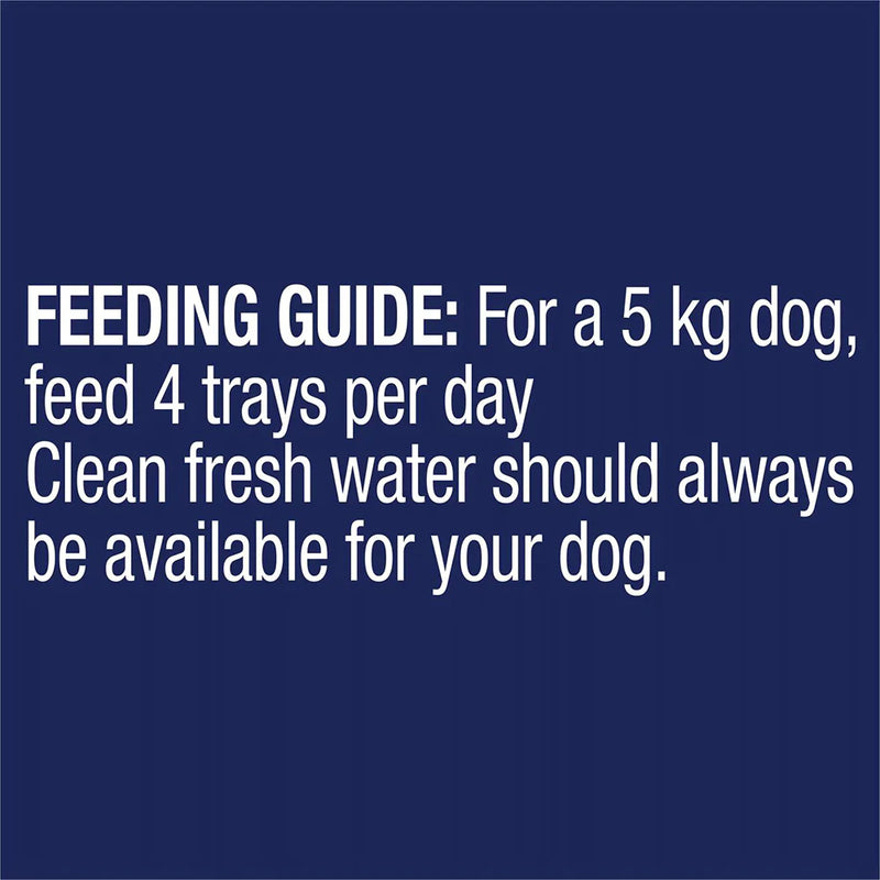 ADVANCE Adult Single Serve Wet Dog Food Trays Casserole with Salmon
