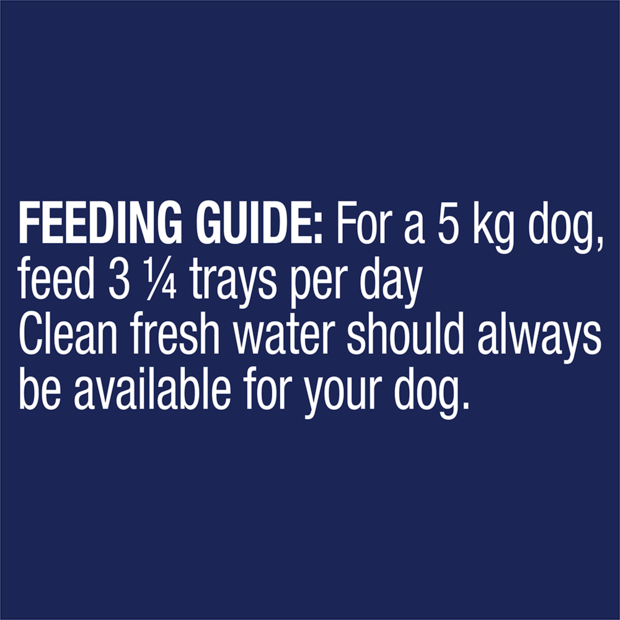 ADVANCE Adult Single Serve Wet Dog Food Trays Healthy Aging with Chicken & Rice