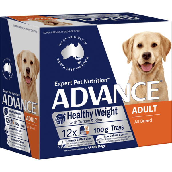 ADVANCE Adult Single Serve Wet Dog Food Trays Healthy Weight with Turkey & Rice