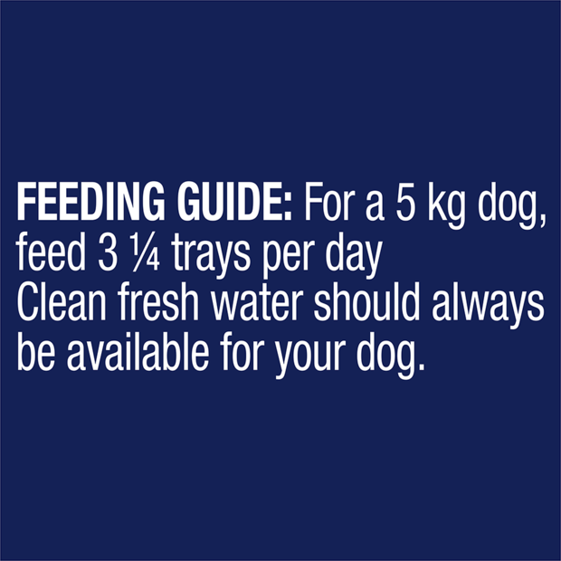 ADVANCE Adult Single Serve Wet Dog Food Trays Healthy Weight with Turkey & Rice