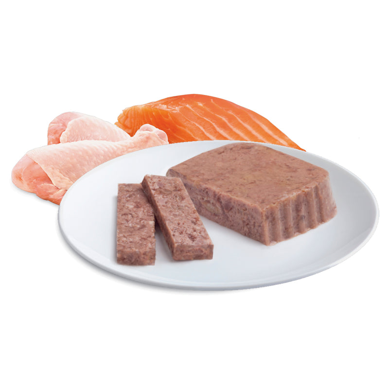ADVANCE Adult Wet Cat Food Chicken & Salmon Medley 7x85g Trays 07