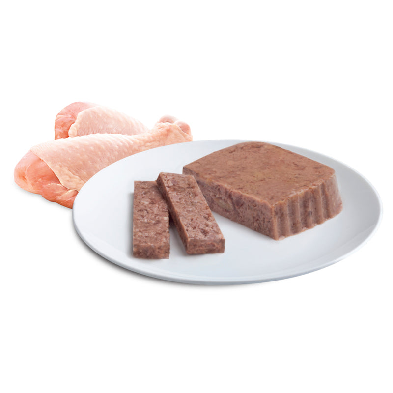 ADVANCE Adult Wet Cat Food Tender Chicken Delight 7x85g Trays 07