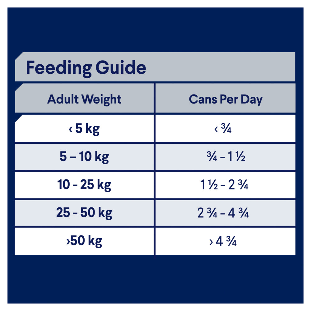 ADVANCE Adult Wet Dog Food Casserole with Chicken 400g x 12 04