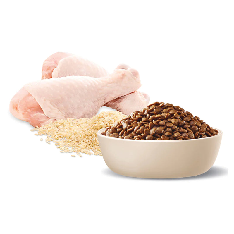 ADVANCE Healthy Ageing Adult Dry Cat Food Chicken with Rice