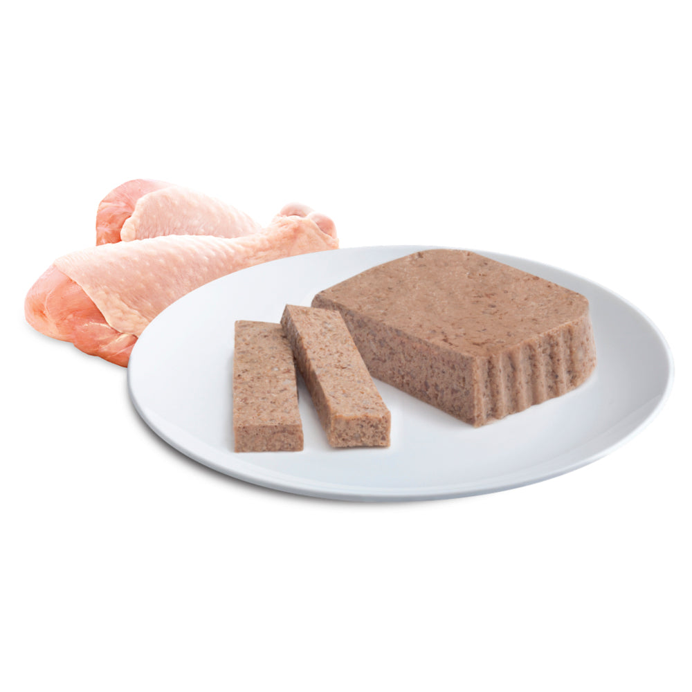 ADVANCE Kitten Wet Cat Food Tender Chicken Delight 7x85g Trays 07