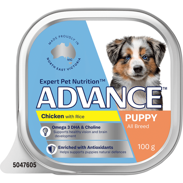 ADVANCE Puppy Single Serve Wet Dog Food Trays Chicken With Rice
