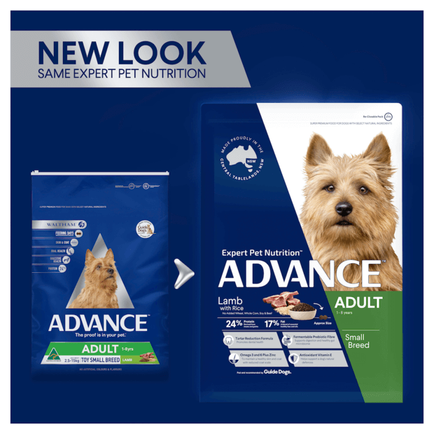 ADVANCE Small Adult Dry Dog Food Lamb with Rice
