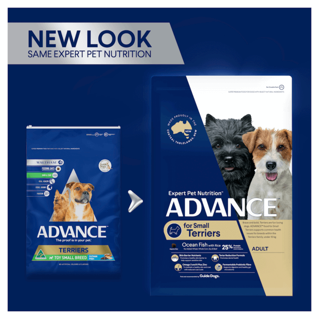 ADVANCE Small Terriers Dry Dog Food Ocean Fish with Rice
